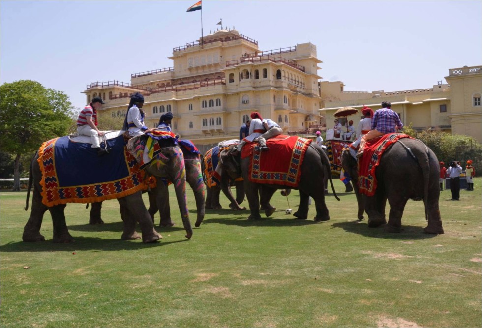 Foto_trem_maharaja-express-2-elephant-polo-match